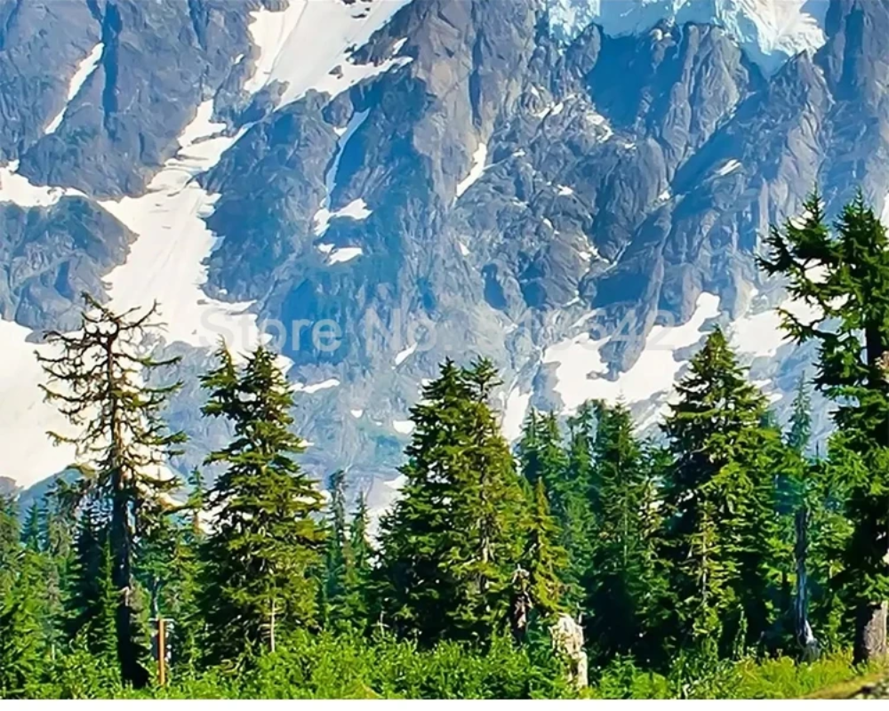 3D Wallpaper Mount Everest SKU# WAL0058